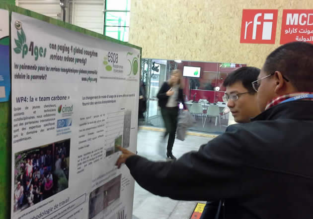 Researcher from china at COP21